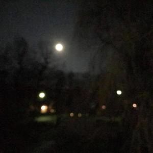 Meet your Posher, Mary